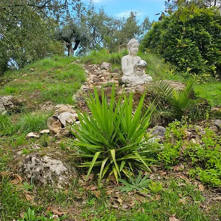 B&B Quinta Cabecinha