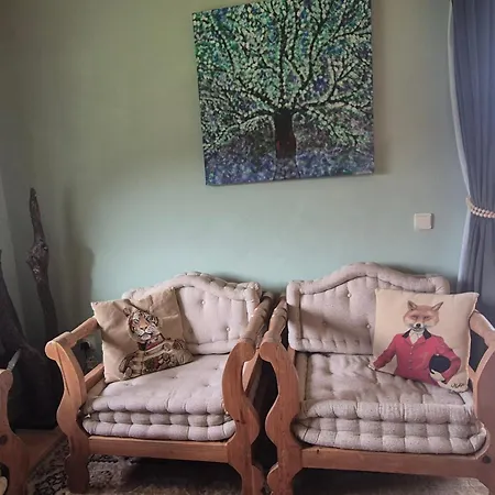 Bed & Breakfast Quinta Cabecinha Penela