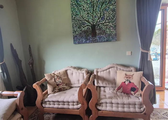 Bed & Breakfast Quinta Cabecinha Penela